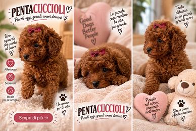 BARBONCINI TOY - BARBONCINO RED CUCCIOLI pag rate