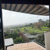 Si loca ampio monovano