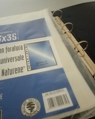 Lotto Raccoglitori Archivio Documenti