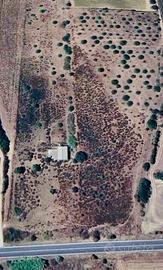 Terreno agricolo 22.000mq con pozzo e fabbricato
