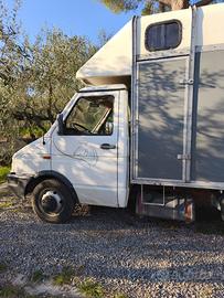 Iveco Daily Van Trasporto Cavalli