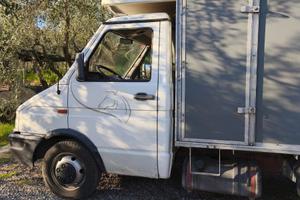 Iveco Daily Van Trasporto Cavalli