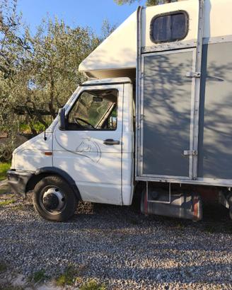 Iveco Daily Van Trasporto Cavalli
