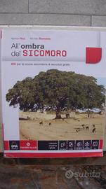 All'ombra del sicomoro