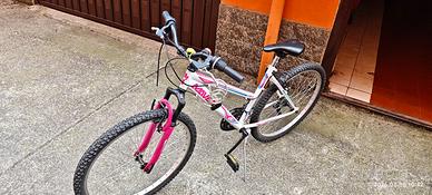 Bicicl