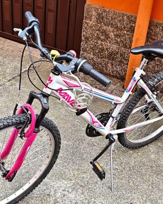 Bicicl