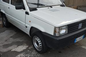 Fiat Panda 1100 i.e. cat Young