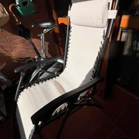 Due sdrai da giardino