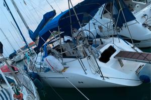 barca elan 34 del 1998