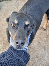 Giordie aspetta da tanto