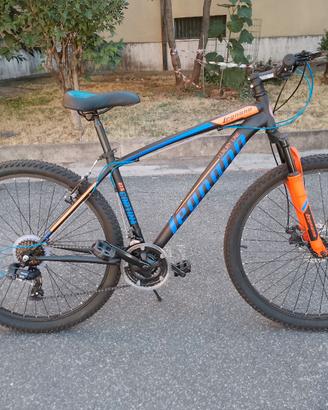 bicicletta 