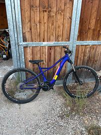 Bicicletta elettrica specialized levo