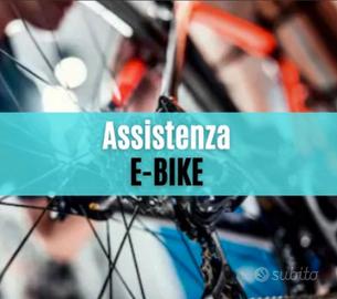 Riparo bici elettriche rotte