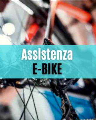 Riparo bici elettriche rotte
