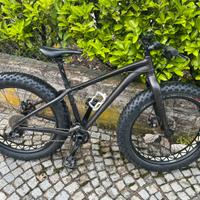 Fat bike specialized