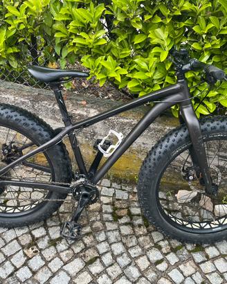 Fat bike specialized