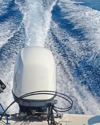 Selva/Yamaha 115 CV iniezione