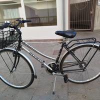 bicicletta da donna 