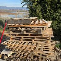 Pancali di varie misure