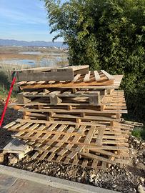 Pancali di varie misure