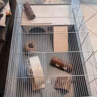 Gabbia Criceto o Conoglio cm L100×P50×H40