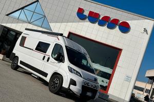 Roller Team Livingstone 5 Sport Limited