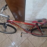 MTB Lee Cougan taglia 26