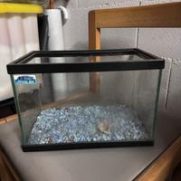 Vasca pesce con sassolini