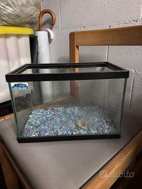 Vasca pesce con sassolini