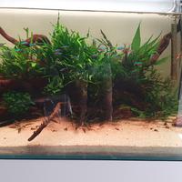 acquario aqpet 90x50