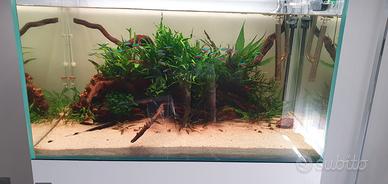 acquario aqpet 90x50