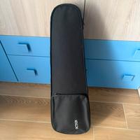 Violino