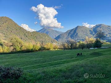 Terreno Residenziale Cerano d'Intelvi
