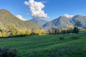 Terreno Residenziale Cerano d'Intelvi