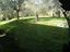 Immagine 23