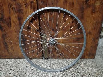Ruota bici