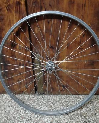 Ruota bici