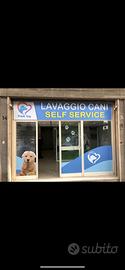 Attività' lavaggio cani self-service