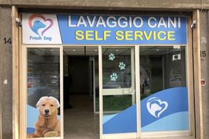 Attività' lavaggio cani self-service