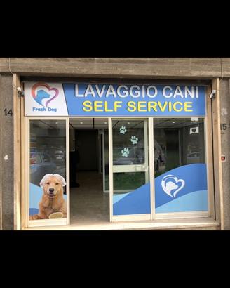 Attività' lavaggio cani self-service