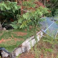 Travi di legno per solaio o pergola