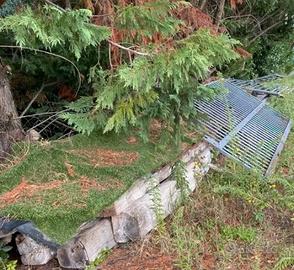 Travi di legno per solaio o pergola