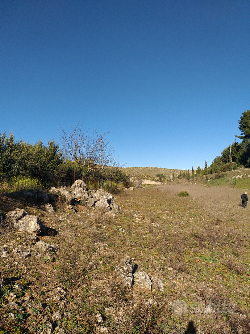 Terreno agricolo/pascolo - Vista 2