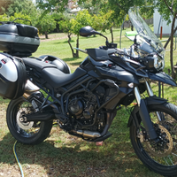 Tiger 800xc perfetta