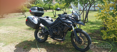 Tiger 800xc perfetta