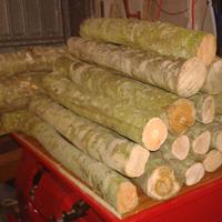 Tronchetti  legno olivo per lavorazione ebanisti