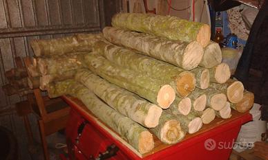 Tronchetti  legno olivo per lavorazione ebanisti