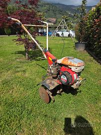 Motozappa Yanmar Te 500