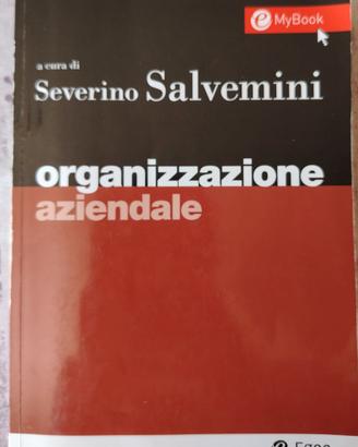 Libro di organizzazione aziendale di S. Salvemini