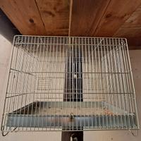 3 gabbiette per uccellini 